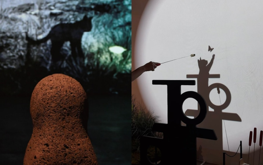 Dolcori Forest, Jeju’s New Theme Park: A Cat Spirit Park Opens